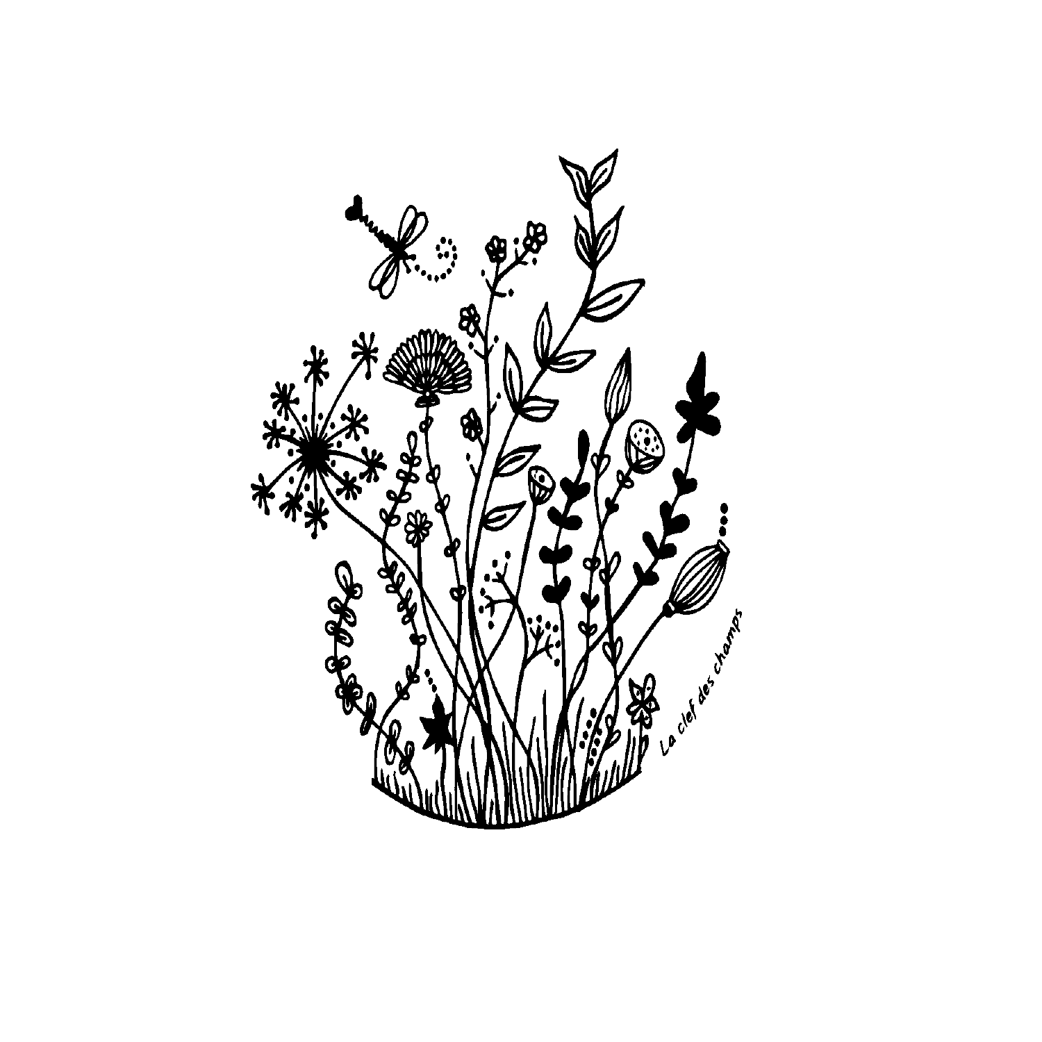 Dessin en forme allongée avec des fleurs et l'inscription ' la clef des champs '.